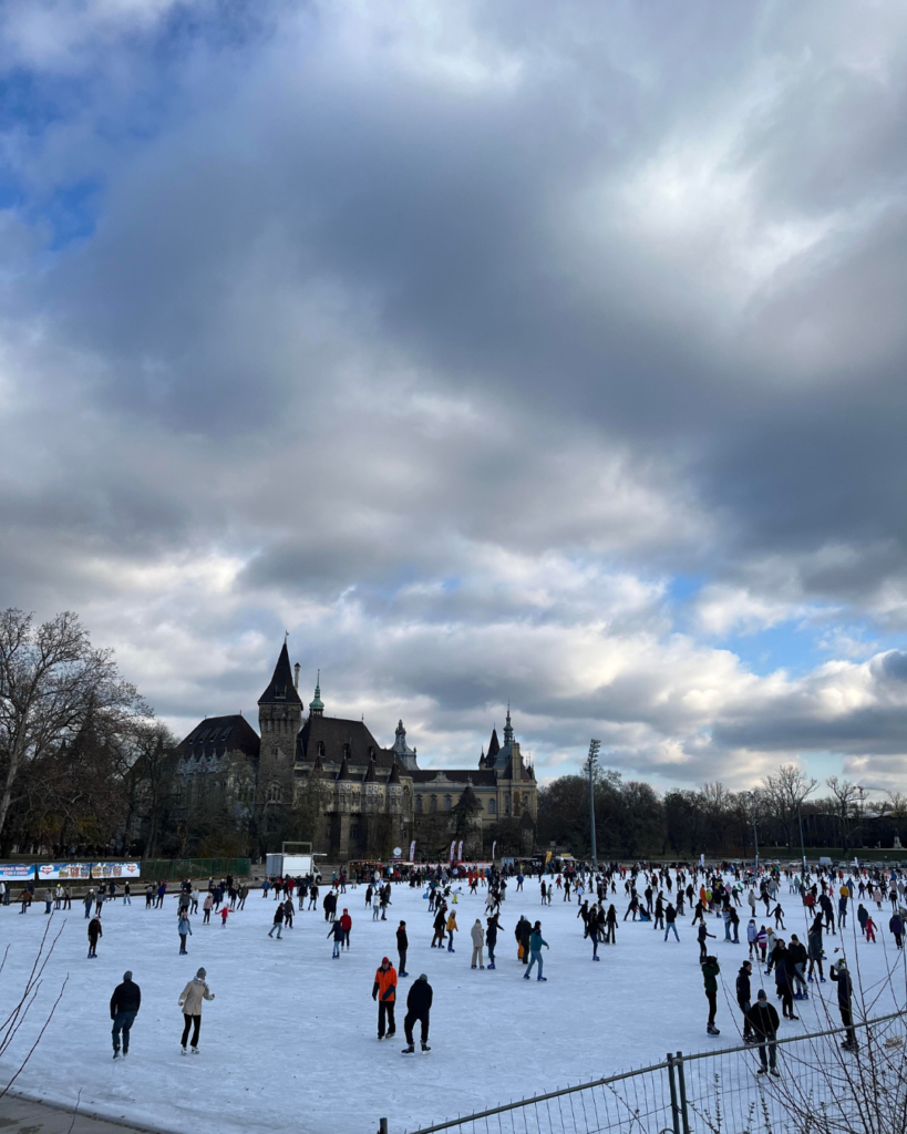 ice rink at the city park 